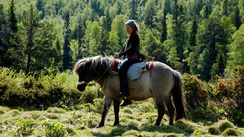 Das Mädchen vom Traumtal, Bild 12